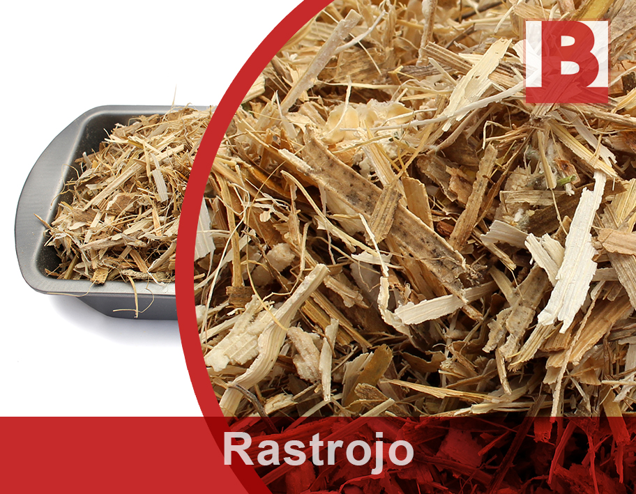 Rastrojo web