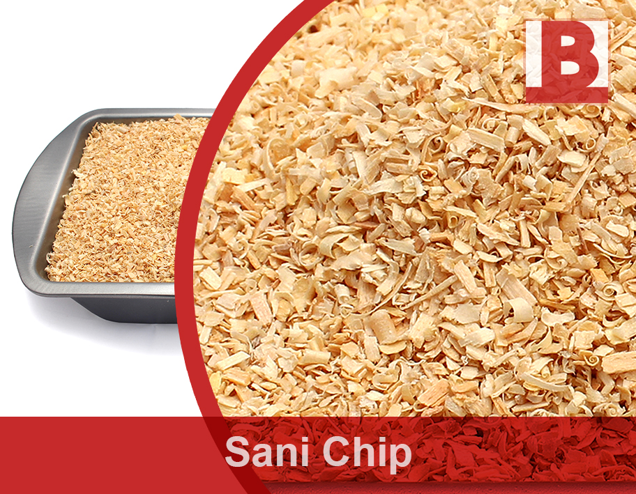 Sani chip web