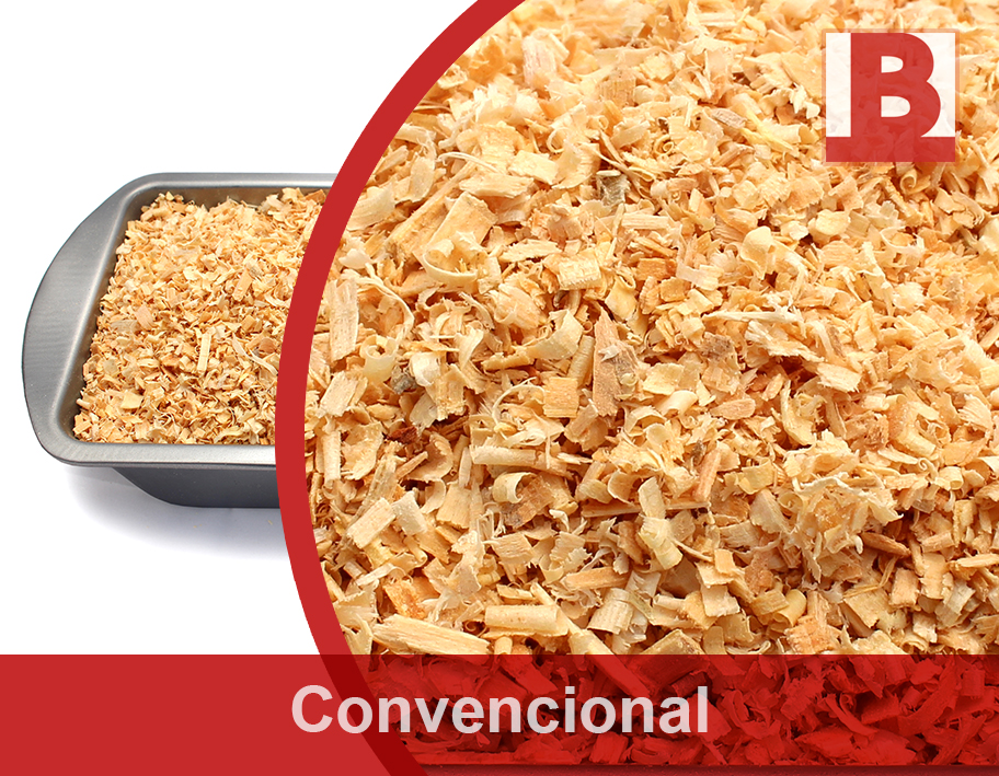 convencional web