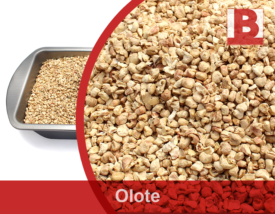 olote web